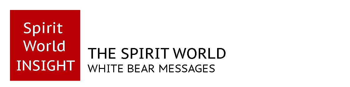 Spirit World Insight