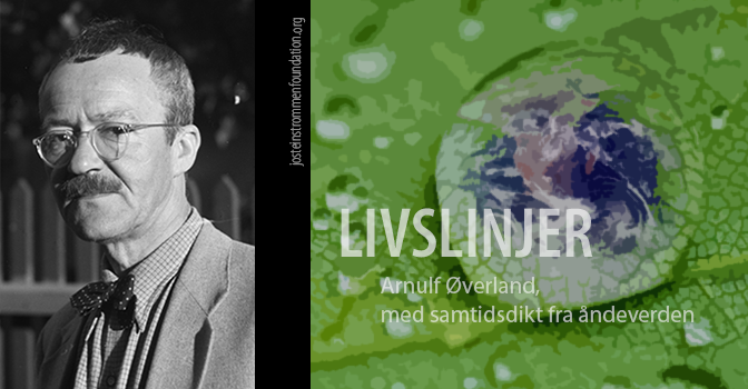 livslinjer